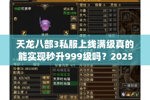 天龙八部3私服上线满级真的能实现秒升999级吗？2025年实测数据揭秘