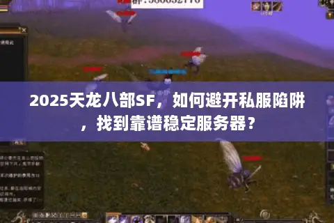 2025天龙八部SF，如何避开私服陷阱，找到靠谱稳定服务器？