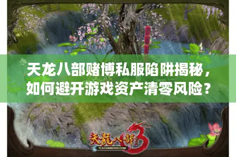 天龙八部赌博私服陷阱揭秘，如何避开游戏资产清零风险？