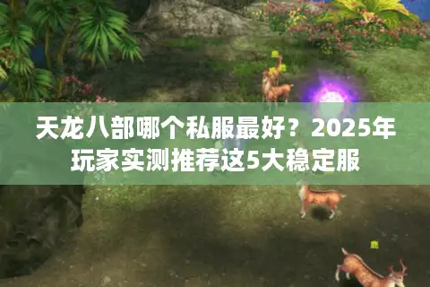 天龙八部哪个私服最好？2025年玩家实测推荐这5大稳定服