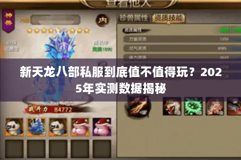 新天龙八部私服到底值不值得玩？2025年实测数据揭秘