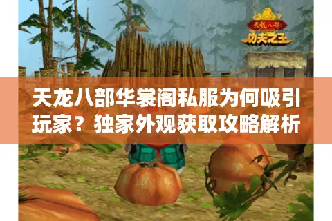 天龙八部华裳阁私服为何吸引玩家?独家外观获取攻略解析 天龙八部华裳阁私服为何吸引玩家?独家外观获取攻略解析
