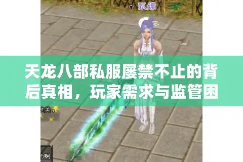 天龙八部私服屡禁不止的背后真相,玩家需求与监管困境 天龙八部私服屡禁不止的背后真相,玩家需求与监管困境