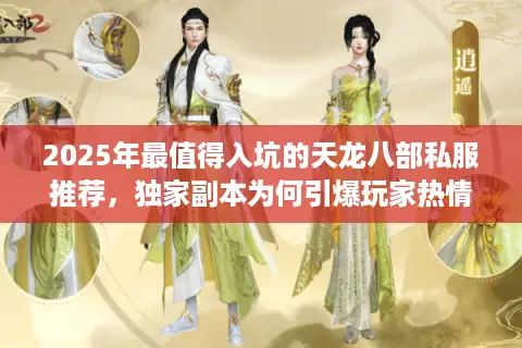 2025年最值得入坑的天龙八部私服推荐，独家副本为何引爆玩家热情？