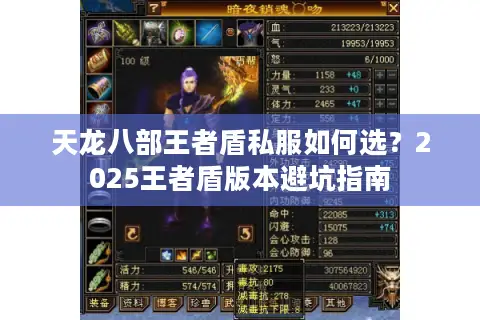 天龙八部王者盾私服如何选？2025王者盾版本避坑指南
