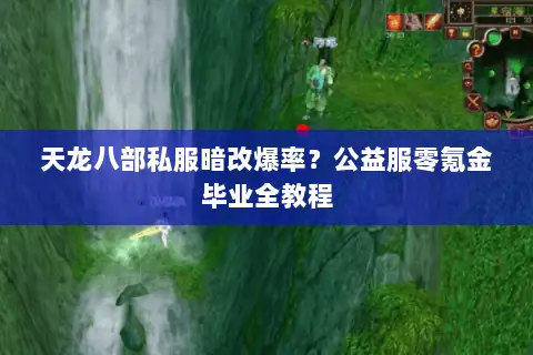 天龙八部私服暗改爆率？公益服零氪金毕业全教程