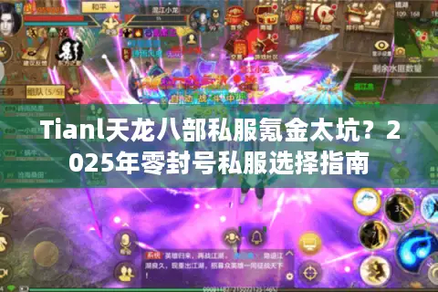 Tianl天龙八部私服氪金太坑？2025年零封号私服选择指南