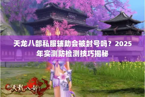 天龙八部私服辅助会被封号吗?2025年实测防检测技巧揭秘 天龙八部私服辅助会被封号吗?2025年实测防检测技巧揭秘