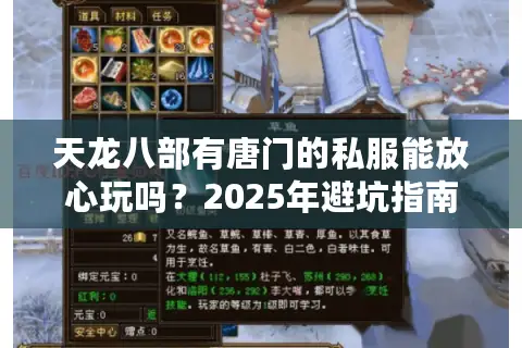 天龙八部有唐门的私服能放心玩吗?2025年避坑指南揭秘 天龙八部有唐门的私服能放心玩吗?2025年避坑指南揭秘