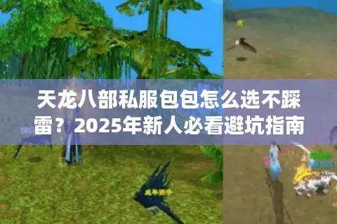 天龙八部私服包包怎么选不踩雷?2025年新人必看避坑指南 天龙八部私服包包怎么选不踩雷?2025年新人必看避坑指南