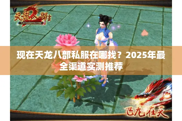 现在天龙八部私服在哪找?2025年最全渠道实测推荐 现在天龙八部私服在哪找?2025年最全渠道实测推荐