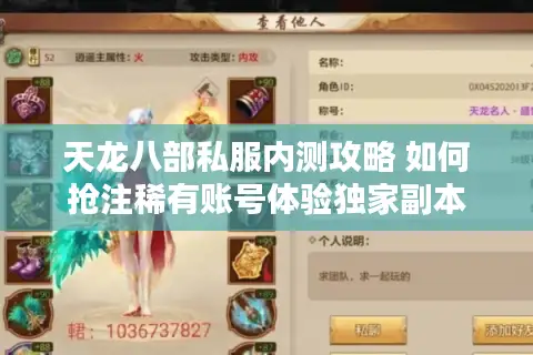 天龙八部私服内测攻略 如何抢注稀有账号体验独家副本