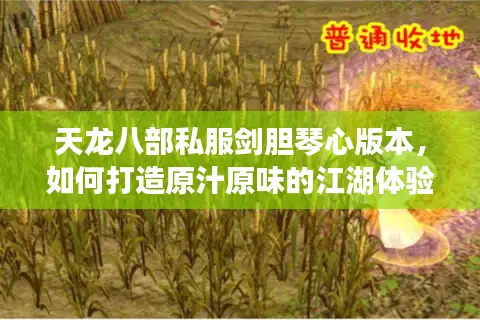 天龙八部私服剑胆琴心版本,如何打造原汁原味的江湖体验? 天龙八部私服剑胆琴心版本,如何打造原汁原味的江湖体验?