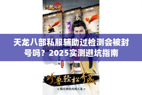 天龙八部私服辅助过检测会被封号吗？2025实测避坑指南