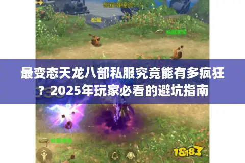 最变态天龙八部私服究竟能有多疯狂?2025年玩家必看的避坑指南 最变态天龙八部私服究竟能有多疯狂?2025年玩家必看的避坑指南