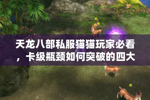 天龙八部私服猫猫玩家必看，卡级瓶颈如何突破的四大实战技巧