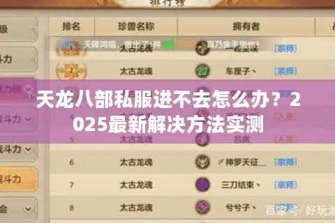 天龙八部私服进不去怎么办？2025最新解决方法实测