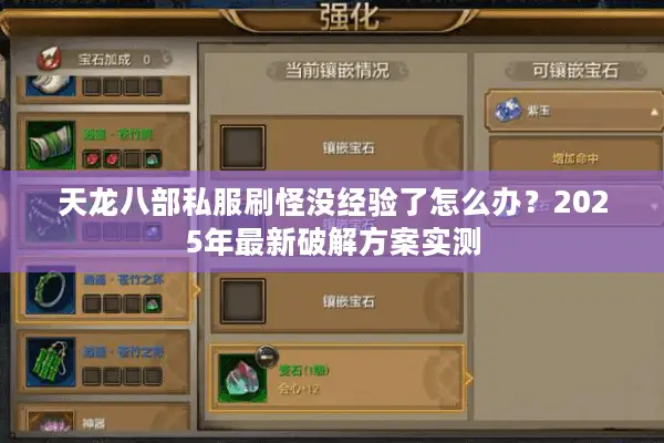 天龙八部私服刷怪没经验了怎么办？2025年最新破解方案实测