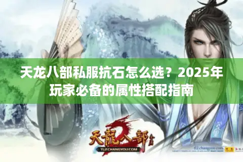 天龙八部私服抗石怎么选？2025年玩家必备的属性搭配指南
