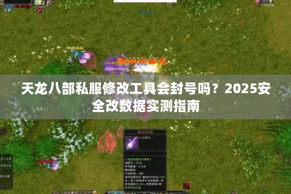 天龙八部私服修改工具会封号吗?2025安全改数据实测指南 天龙八部私服修改工具会封号吗?2025安全改数据实测指南