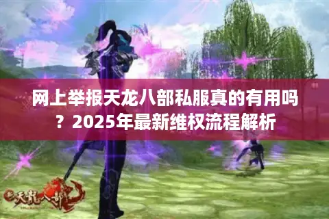 网上举报天龙八部私服真的有用吗？2025年最新维权流程解析