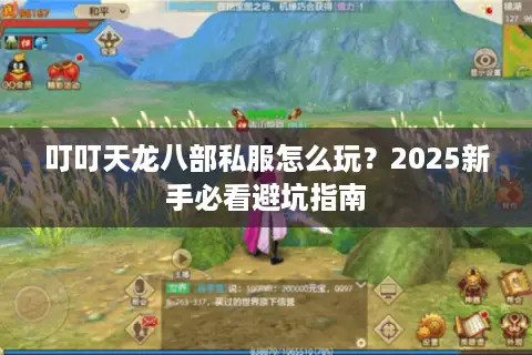 叮叮天龙八部私服怎么玩?2025新手必看避坑指南 叮叮天龙八部私服怎么玩?2025新手必看避坑指南