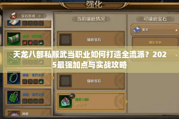 天龙八部私服武当职业如何打造全流派？2025最强加点与实战攻略