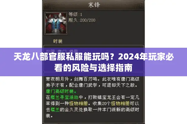 天龙八部官服私服能玩吗？2024年玩家必看的风险与选择指南