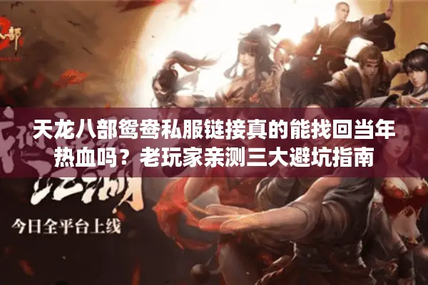 天龙八部鸳鸯私服链接真的能找回当年热血吗？老玩家亲测三大避坑指南