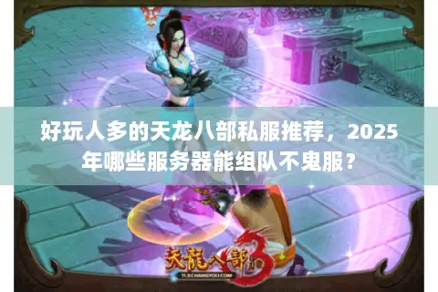 好玩人多的天龙八部私服推荐，2025年哪些服务器能组队不鬼服？