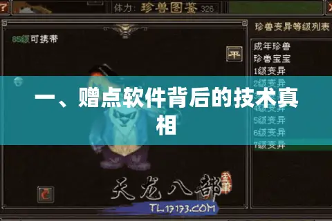 一、赠点软件背后的技术真相