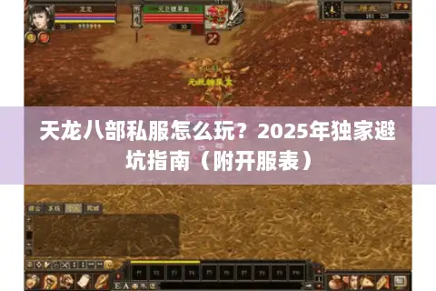 天龙八部私服怎么玩？2025年独家避坑指南（附开服表）
