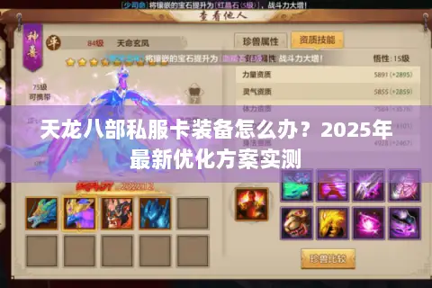 天龙八部私服卡装备怎么办？2025年最新优化方案实测