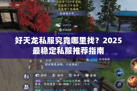 好天龙私服究竟哪里找？2025最稳定私服推荐指南