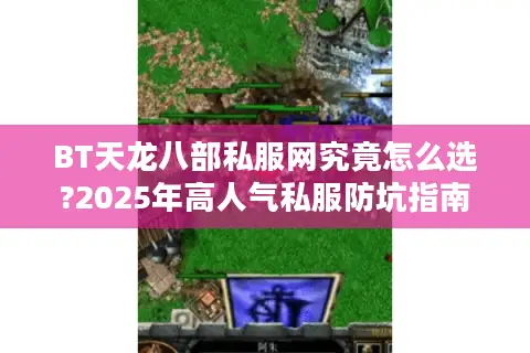 BT天龙八部私服网究竟怎么选?2025年高人气私服防坑指南