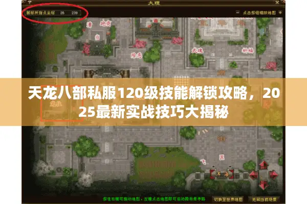 天龙八部私服120级技能解锁攻略，2025最新实战技巧大揭秘