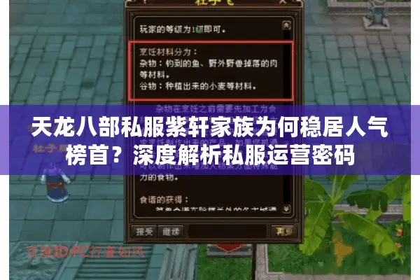 天龙八部私服紫轩家族为何稳居人气榜首？深度解析私服运营密码