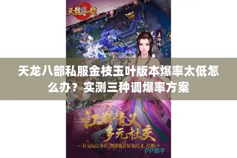 天龙八部私服金枝玉叶版本爆率太低怎么办？实测三种调爆率方案