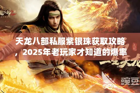 天龙八部私服紫银珠获取攻略，2025年老玩家才知道的爆率提升技巧