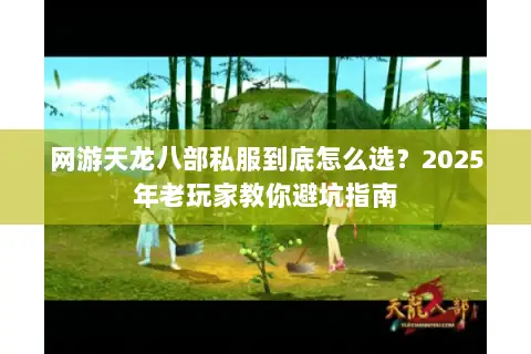 网游天龙八部私服到底怎么选？2025年老玩家教你避坑指南