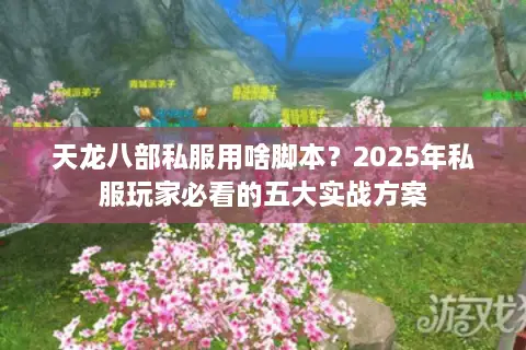 天龙八部私服用啥脚本?2025年私服玩家必看的五大实战方案 天龙八部私服用啥脚本?2025年私服玩家必看的五大实战方案
