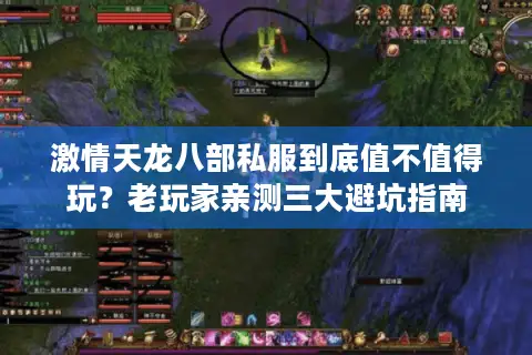 激情天龙八部私服到底值不值得玩？老玩家亲测三大避坑指南