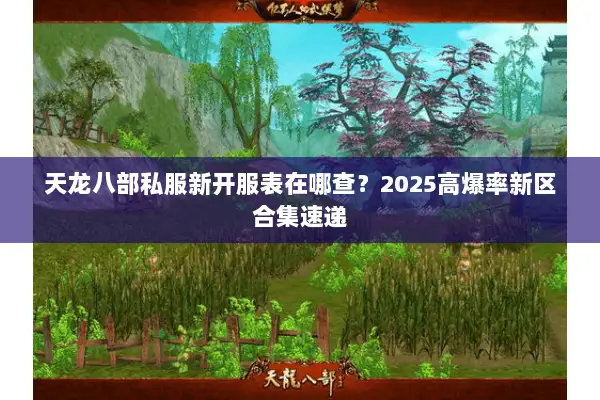 天龙八部私服新开服表在哪查？2025高爆率新区合集速递