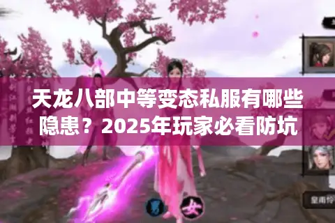 天龙八部中等变态私服有哪些隐患?2025年玩家必看防坑指南 天龙八部中等变态私服有哪些隐患?2025年玩家必看防坑指南