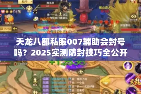 天龙八部私服007辅助会封号吗？2025实测防封技巧全公开