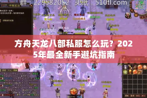 方舟天龙八部私服怎么玩？2025年最全新手避坑指南