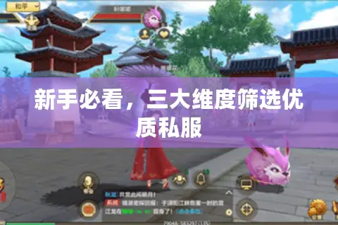 新手必看，三大维度筛选优质私服