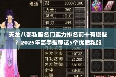 天龙八部私服名门实力排名前十有哪些？2025年高手推荐这5个优质私服