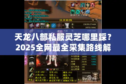 天龙八部私服灵芝哪里踩？2025全网最全采集路线解析