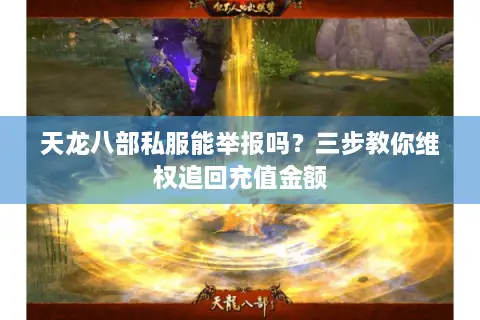 天龙八部私服能举报吗？三步教你维权追回充值金额